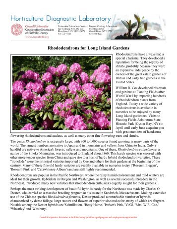 Rhododendrons for Long Island Gardens - Cornell Cooperative ...