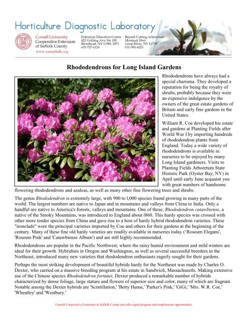 Rhododendrons for Long Island Gardens - Cornell Cooperative ...