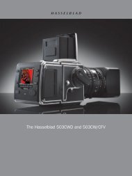 The Hasselblad 503CWD and 503CW/CFV