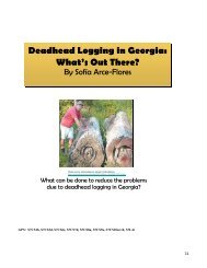 Deadhead Logging in Georgia - River Basin Center at the University ...