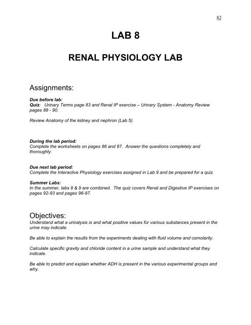 renal system physiology review sheet answers