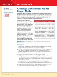 Creating a Dichotomous Key for Limpet Shells - WilsonSD.org