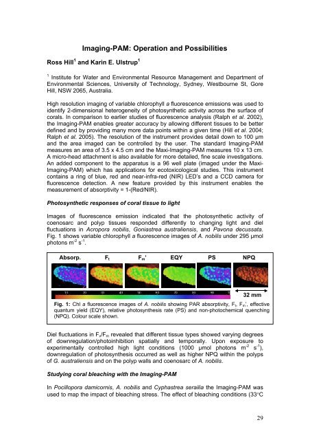 Pulse Amplitude Modulation Fluorometry - Coral Reef Targeted ...