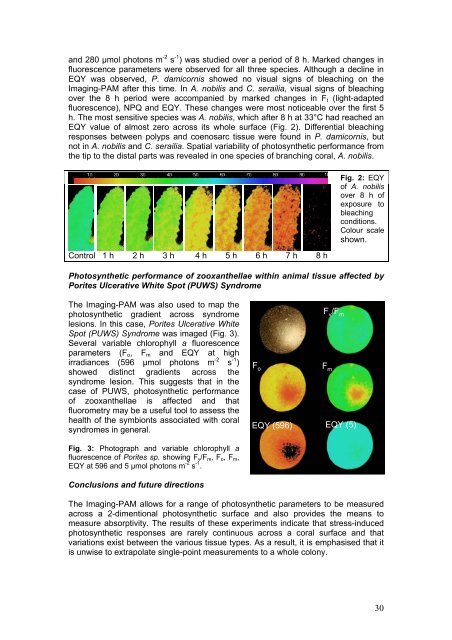 Pulse Amplitude Modulation Fluorometry - Coral Reef Targeted ...