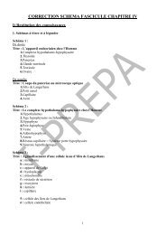 CORRECTION SCHEMA FASCICULE CHAPITRE IV - Poly-Prepas