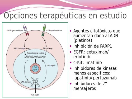 Seminario CÃ¡ncer de Mama