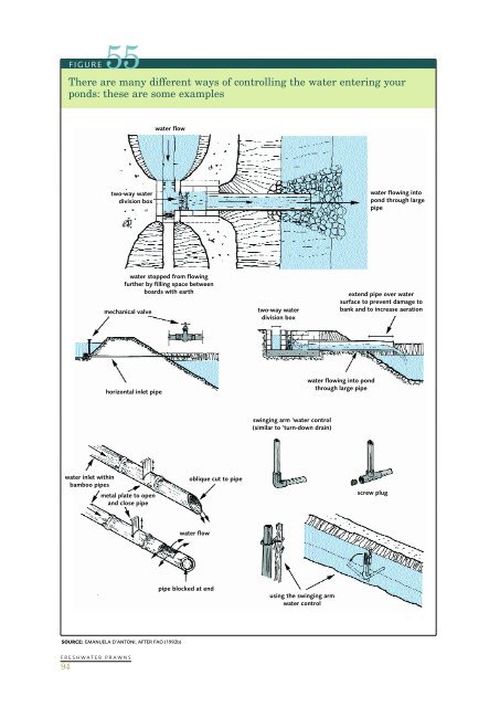 Farming freshwater prawns