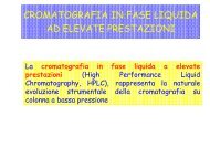 Cromatografia in fase liquida - Dipartimento di Chimica