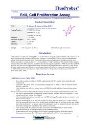 EdU Cell Proliferation Assay - Interchim