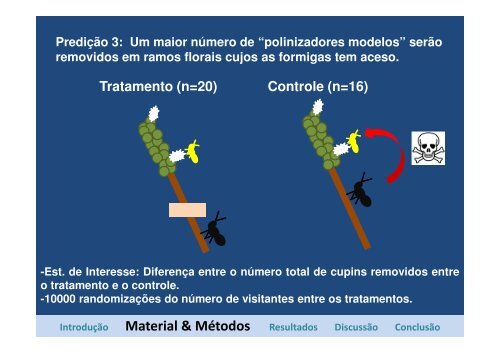 Formigas diminuem a visitação de polinizadores de Cordia ...