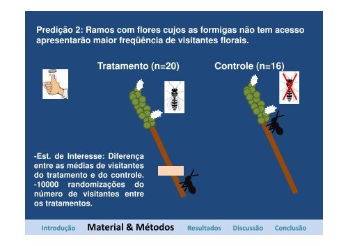 Formigas diminuem a visitação de polinizadores de Cordia ...