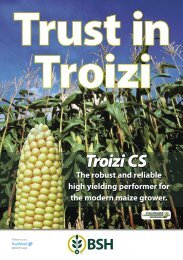 Trust in Troizi (Maize) - British Seed Houses