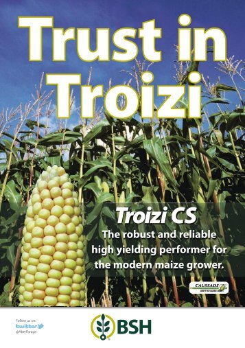 Trust in Troizi (Maize) - British Seed Houses