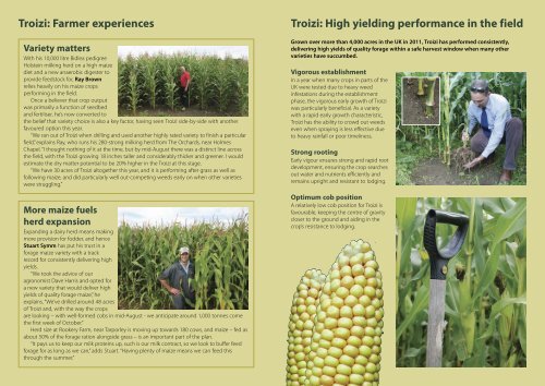 Trust in Troizi (Maize) - British Seed Houses