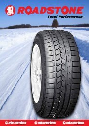 eurowin winter - Roadstone tyres