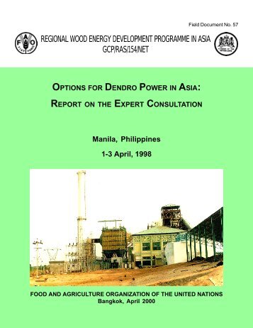 Options for Dendro Power in Asia - Natural Resources Institute