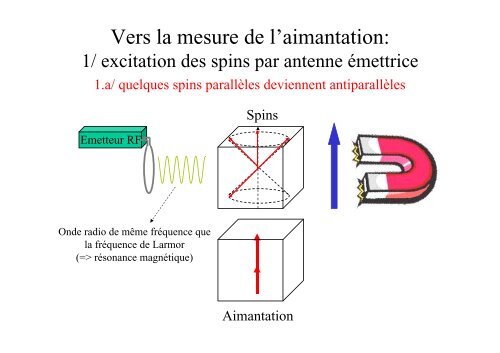 Comment obtenir une image en IRM ? - CEA Saclay