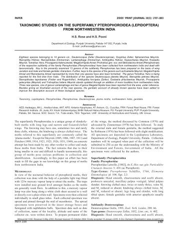 Taxonomic studies on the superfamily Pterophoroidea - zoo's print