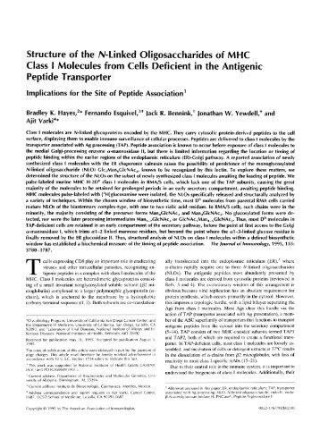 Structure of the N-Linked Oligosaccharides of MHC Class I ...