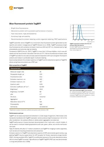 Blue fluorescent protein TagBFP - Evrogen