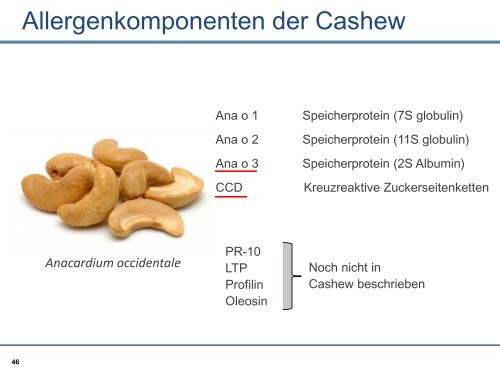 In der Weihnachtsbäckerei - Phadia