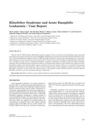 Klinefelter Syndrome and Acute Basophilic Leukaemia