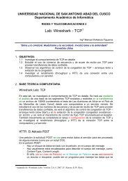 Lab: Wireshark - TCP1 - Universidad Nacional de San Antonio Abad ...