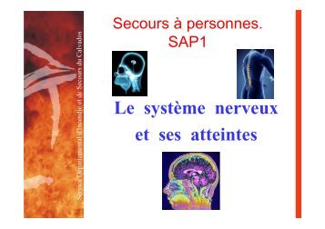 Le systÃ¨me nerveux et ses atteintes - SDIS14