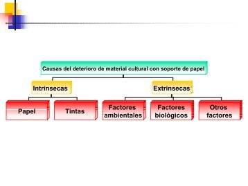 Causas del deterioro de material cultural con soporte de papel