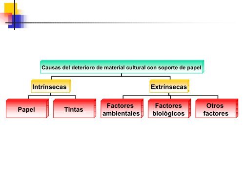 Causas del deterioro de material cultural con soporte de papel