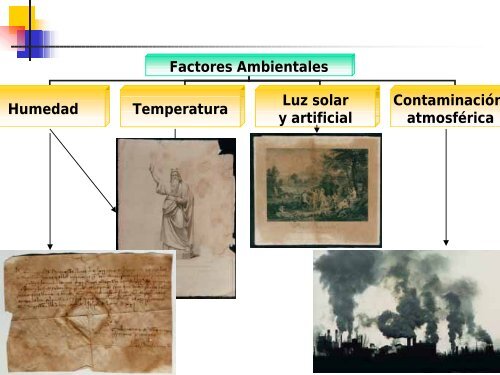 Causas del deterioro de material cultural con soporte de papel