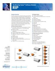 TeraRouting Tester Software Module RIP - Spirent Communications