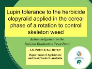 Lupin Tolerance to the Herbicide Clopyralid When ... - Lupins.org