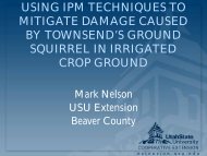 Ground Squirrel Control - Utah Pests