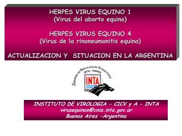 Herpes Virus Equino