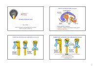 APPAREIL RESPIRATOIRE