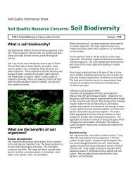 Soil Biodiversity - NRCS Soils - US Department of Agriculture