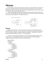 Meiosis