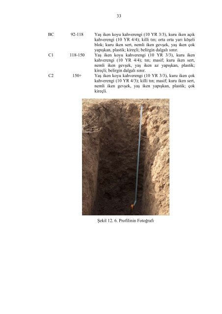 taban arazi Ã¼zerindeki deÄiÅik toprak profillerinin oluÅumu ...
