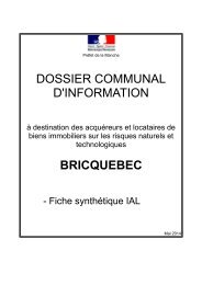 Bricquebec - 0,06 Mb - PrÃ©fecture de la Manche