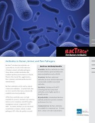 BacTrace Anti-bacteria Flyer - KPL