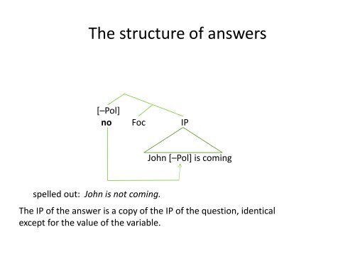 How to Answer a Negative Question