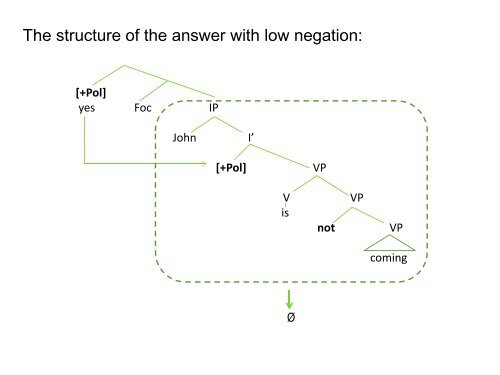 How to Answer a Negative Question