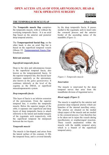 TEMPORALIS MUSCLE FLAP - Vula - University of Cape Town