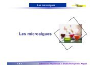 Les microalgues