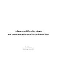 Isolierung und Charakterisierung von Membranproteinen aus ...