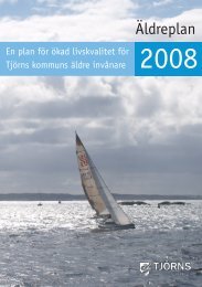 Ãldreplan 2008 - TjÃ¶rns kommun