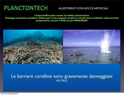 Catalogo rocce artificiali