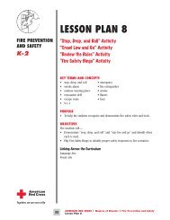 Lesson Plan 8