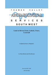 Geophysical survey report - Thames Valley Archaeological Services